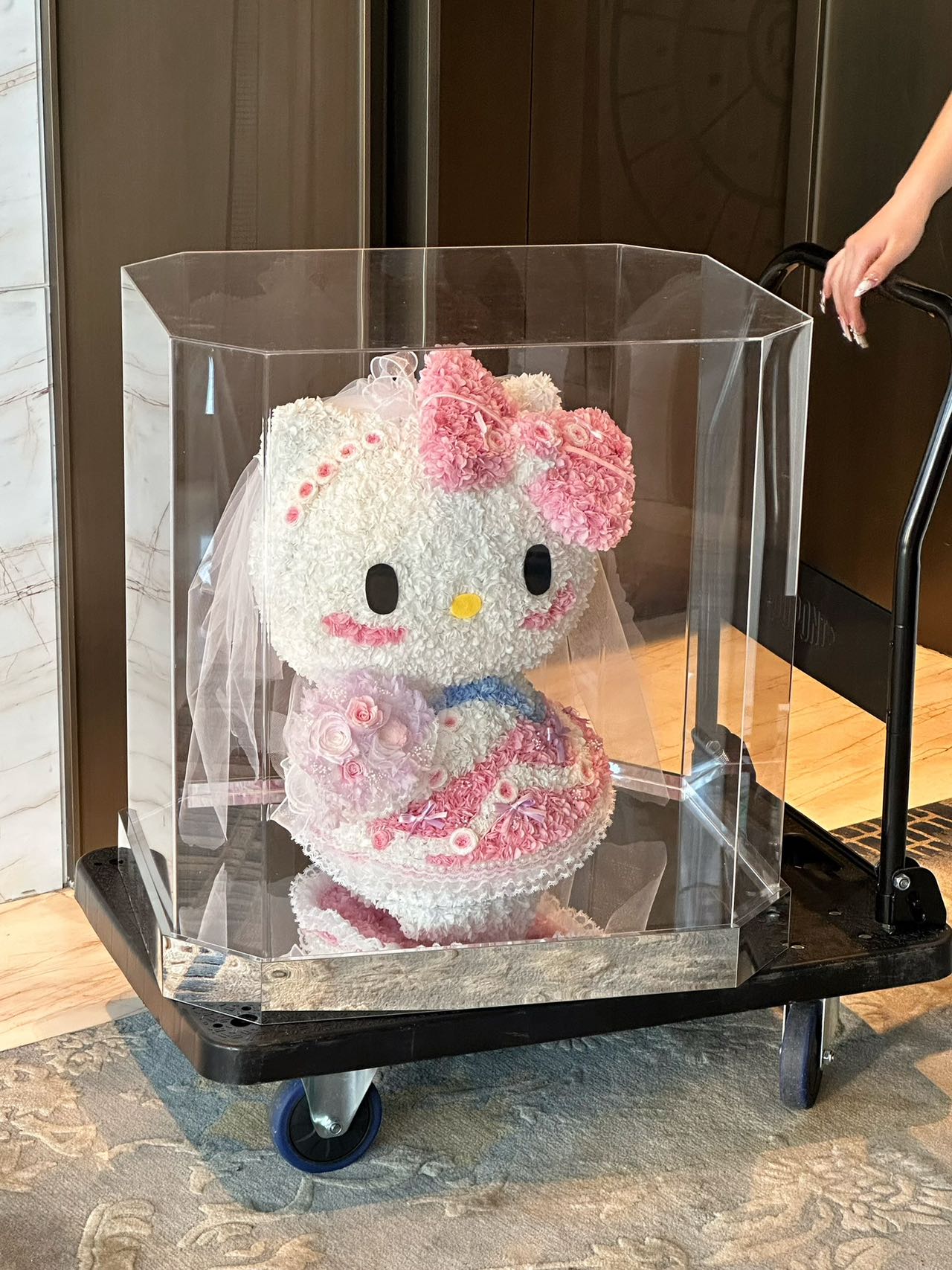 Eternal Rose Gift Box Real Flower Eternal Flower Luxury Birthday Gift Wedding Proposal Anniversary Gift Valentine's Day Gift Mother's Day Giftwedding dress Hello Kitty