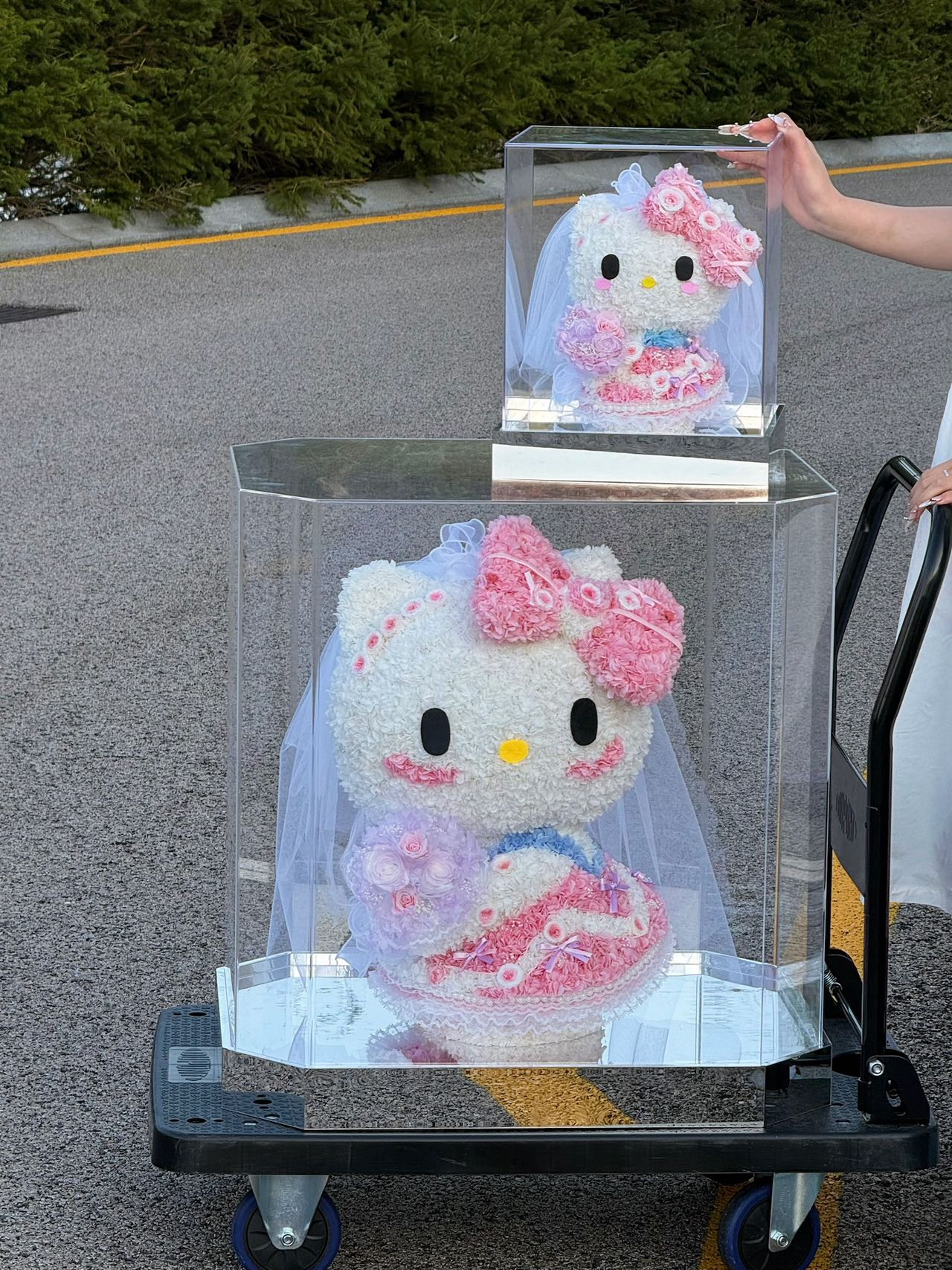 Eternal Rose Gift Box Real Flower Eternal Flower Luxury Birthday Gift Wedding Proposal Anniversary Gift Valentine's Day Gift Mother's Day Giftwedding dress Hello Kitty