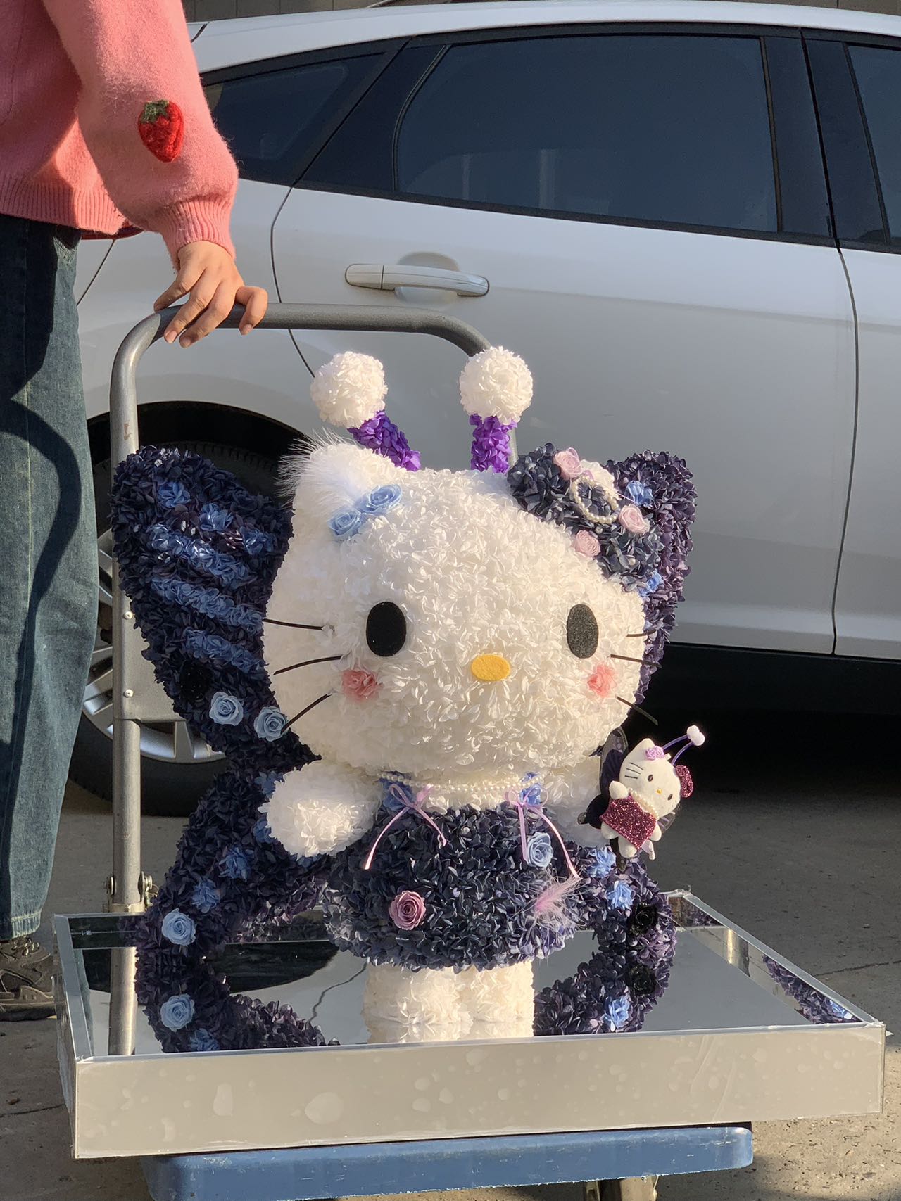 Eternal Rose Gift Box Real Flower Eternal Flower Luxury Birthday Gift Wedding Proposal Anniversary Gift Valentine's Day Gift Mother's Day Giftbutterfly Hello Kitty